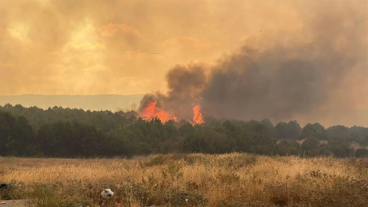 Çanakkale’yi kara dumanlar kapladı! Alevler ÇOMÜ yerleşkesine yaklaşıyor