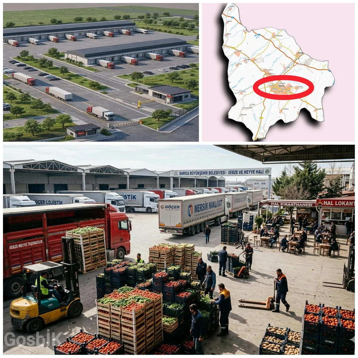 Çorlu’ya 30 Dükkânlı Modern Sebze ve Meyve Hali Geliyor: Trakya’nın Yeni Ticaret Merkezi Yükseliyor