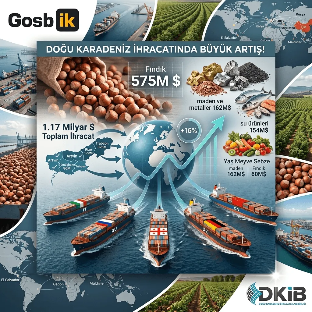 Doğu Karadeniz İhracatında Rekor! 8 Ayda 1,17 Milyar Doları Aştı, Fındık 575 Milyon Dolarla Zirvede