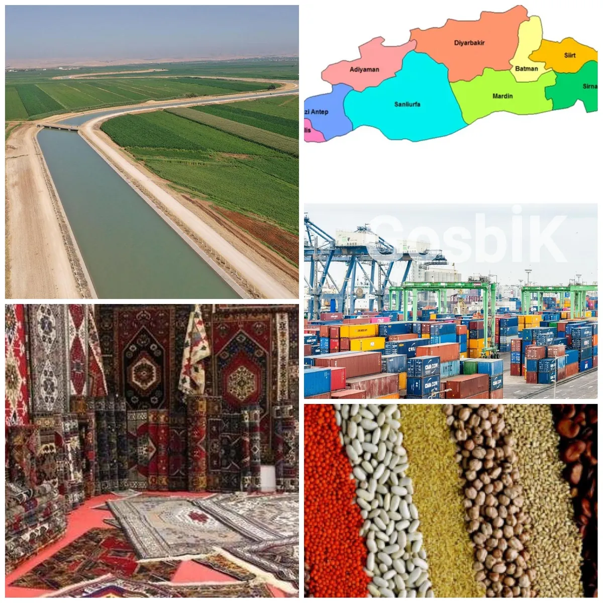 Güneydoğu Anadolu’nun İhracatı 2025’te 12 Milyar Dolara Ulaştı