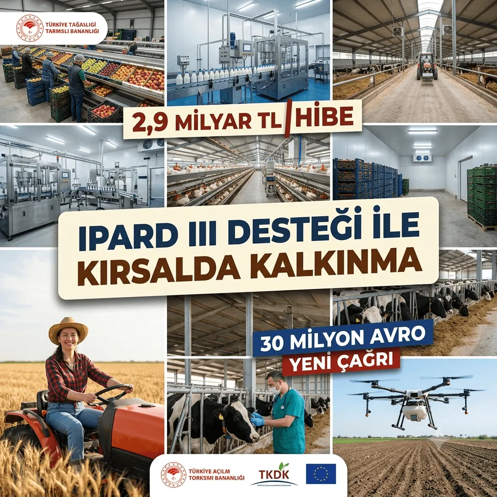 IPARD III’te 240 Projeye 2,9 Milyar TL Hibe: Kırsal Yatırımlarda Yeni Çağrı Dönemi Başladı