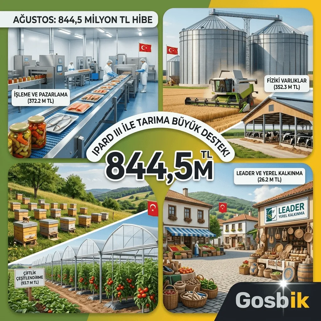 IPARD III’ten Rekor Destek! Ağustos Ayında 844,5 Milyon TL Hibe Ödemesi Yapıldı, Tarım Yatırımlarına Büyük Kaynak