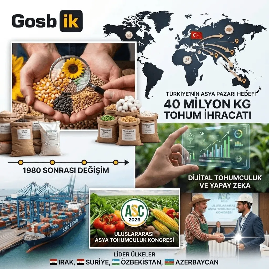 Türkiye Tohumculukta Asya Pazarına Açılıyor! 40,3 Milyon Kilogramlık İhracatla Küresel Rekabette Yeni Hedef