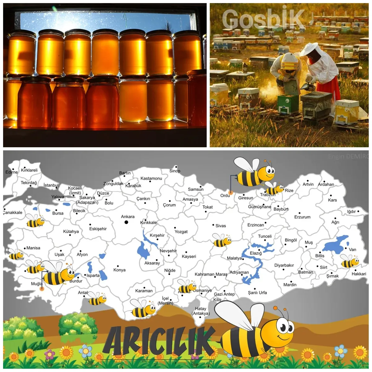 Türkiye’nin Bal İhracatı Rekor Kırıyor: 2025’te 33,5 Milyon Doları Aştı