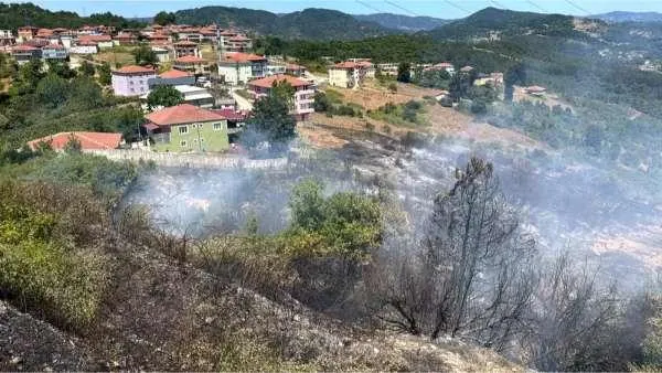 Zonguldak'ta OSB İçinde Orman Yangını